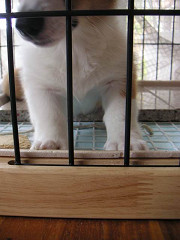 Resize of PICT0712_thumb.jpg